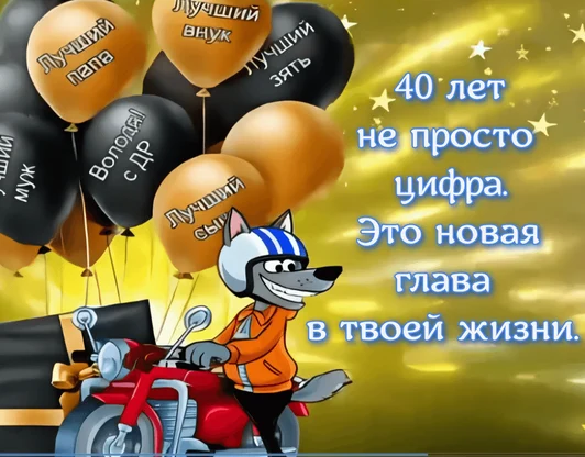 Волк 40 летие. 